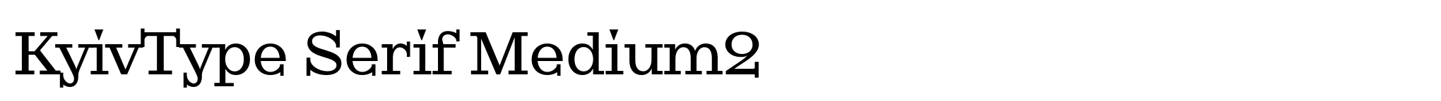 KyivType Serif Medium2 image